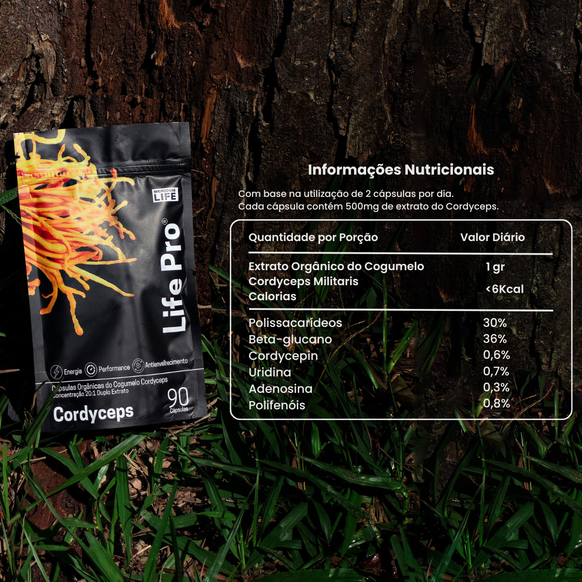 Kit Foco, Energia e Equilíbrio | Lions Mane + Cordyceps + Reishi