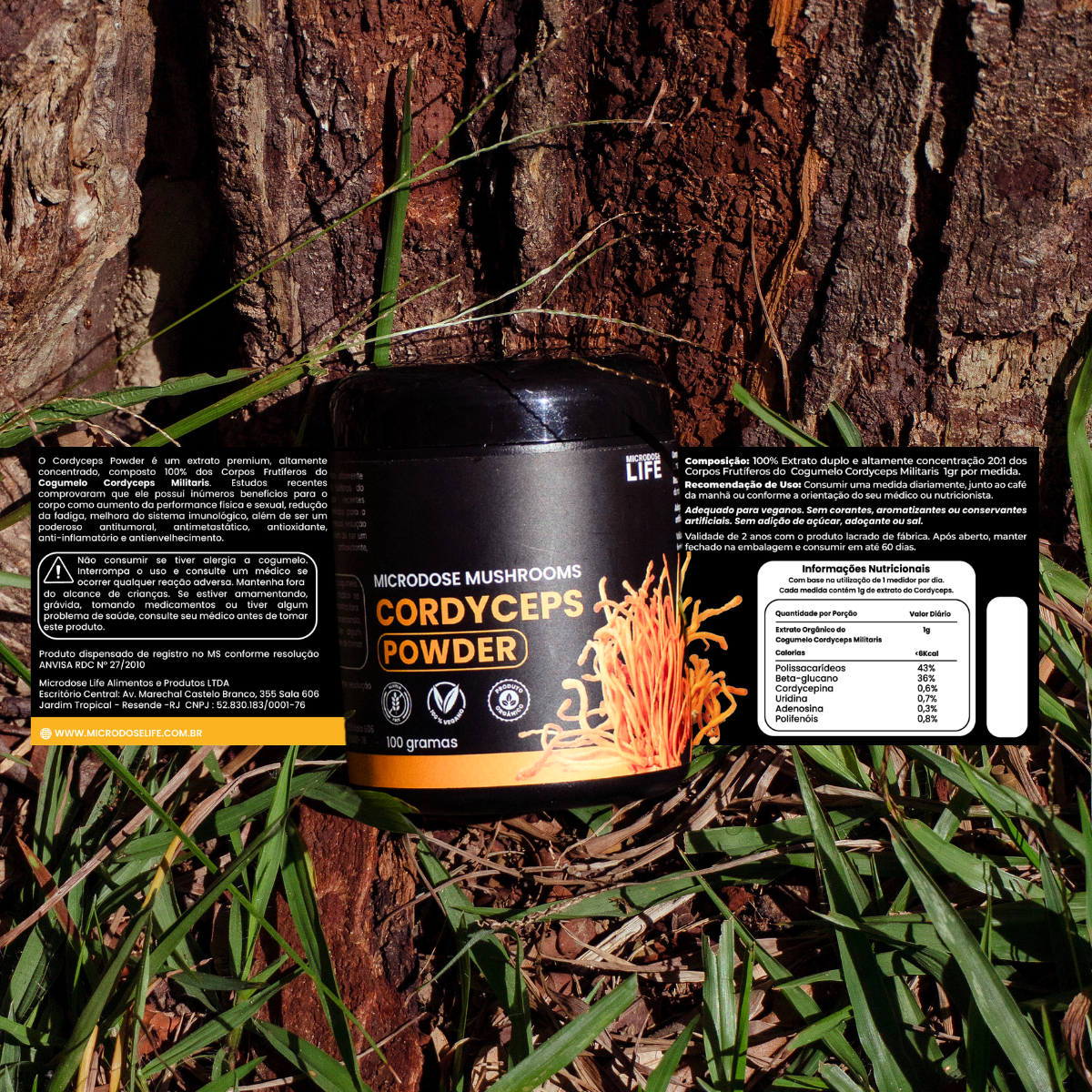Kit Foco e Energia | Lion's Mane + Cordyceps | Extrato em Pó 100g