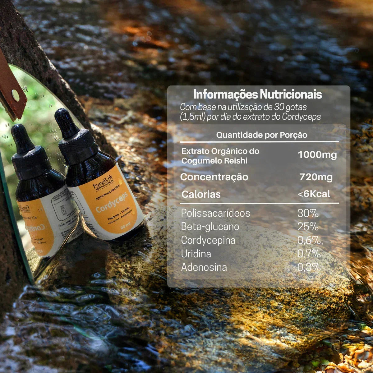 Kit Foco e Energia Lion's Mane + Cordyceps Militaris | Extrato Líquido 60ml