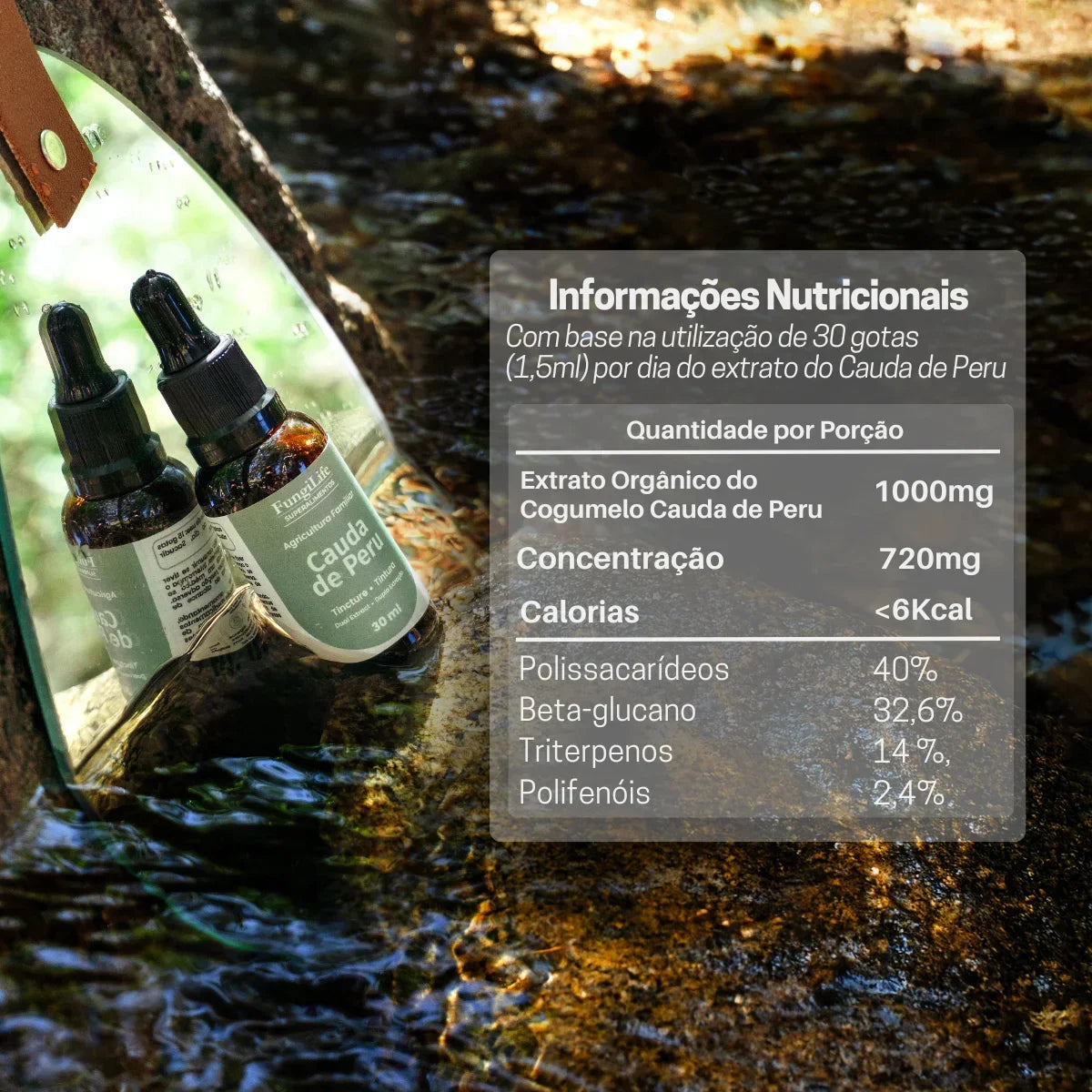 Cogumelo Cauda de Peru | Extrato Líquido 30ml