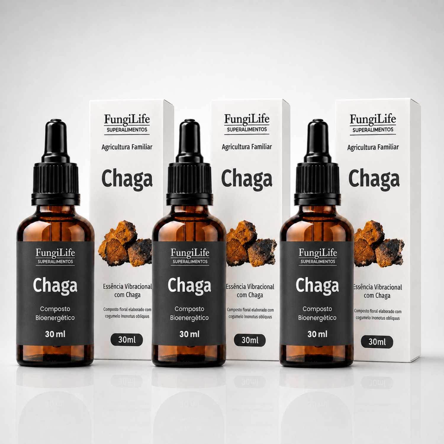 Cogumelo Chaga | Extrato Líquido 30ml