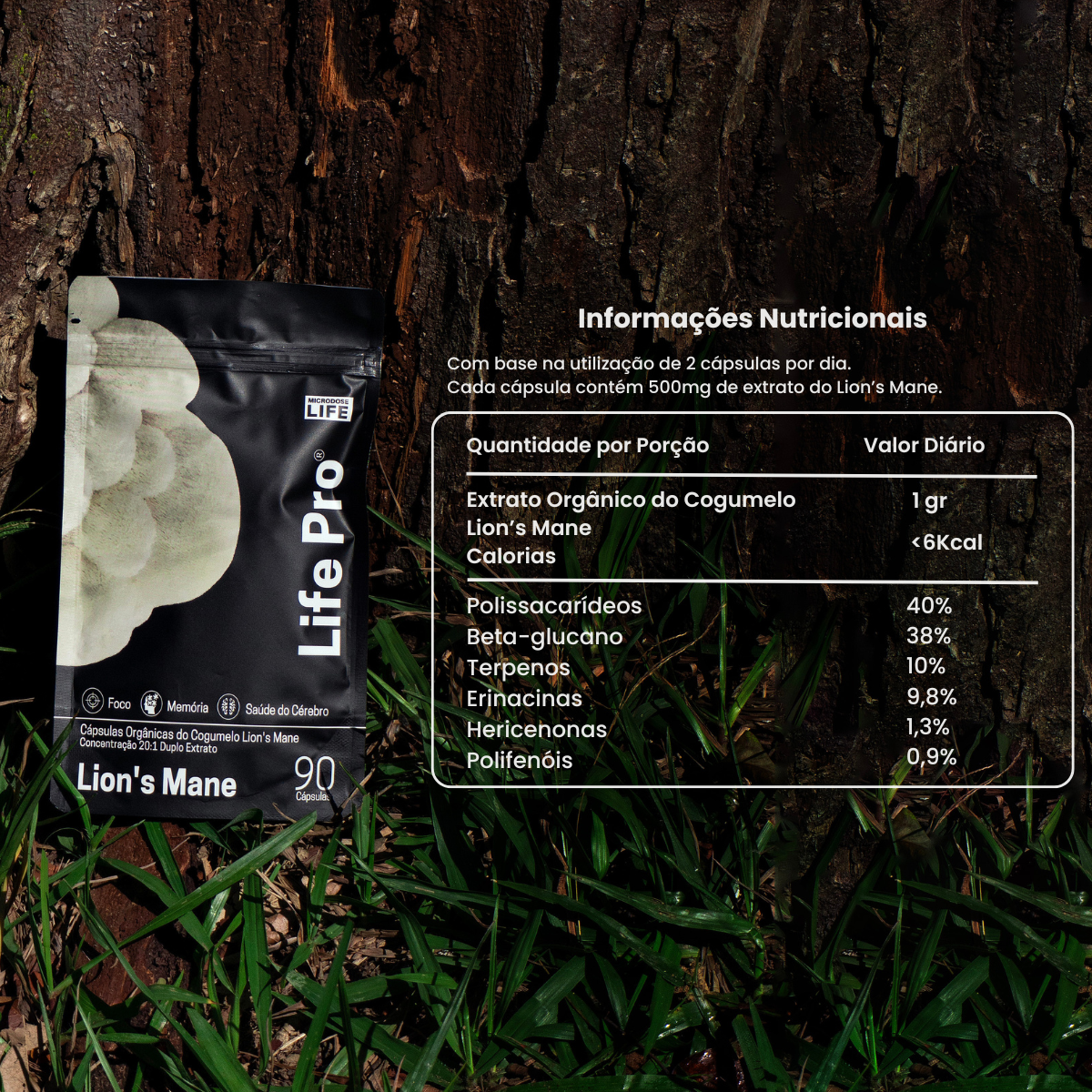 Kit Foco e Equilíbrio | Lion's Mane + Reishi | Extrato Encapsulado 90 Caps