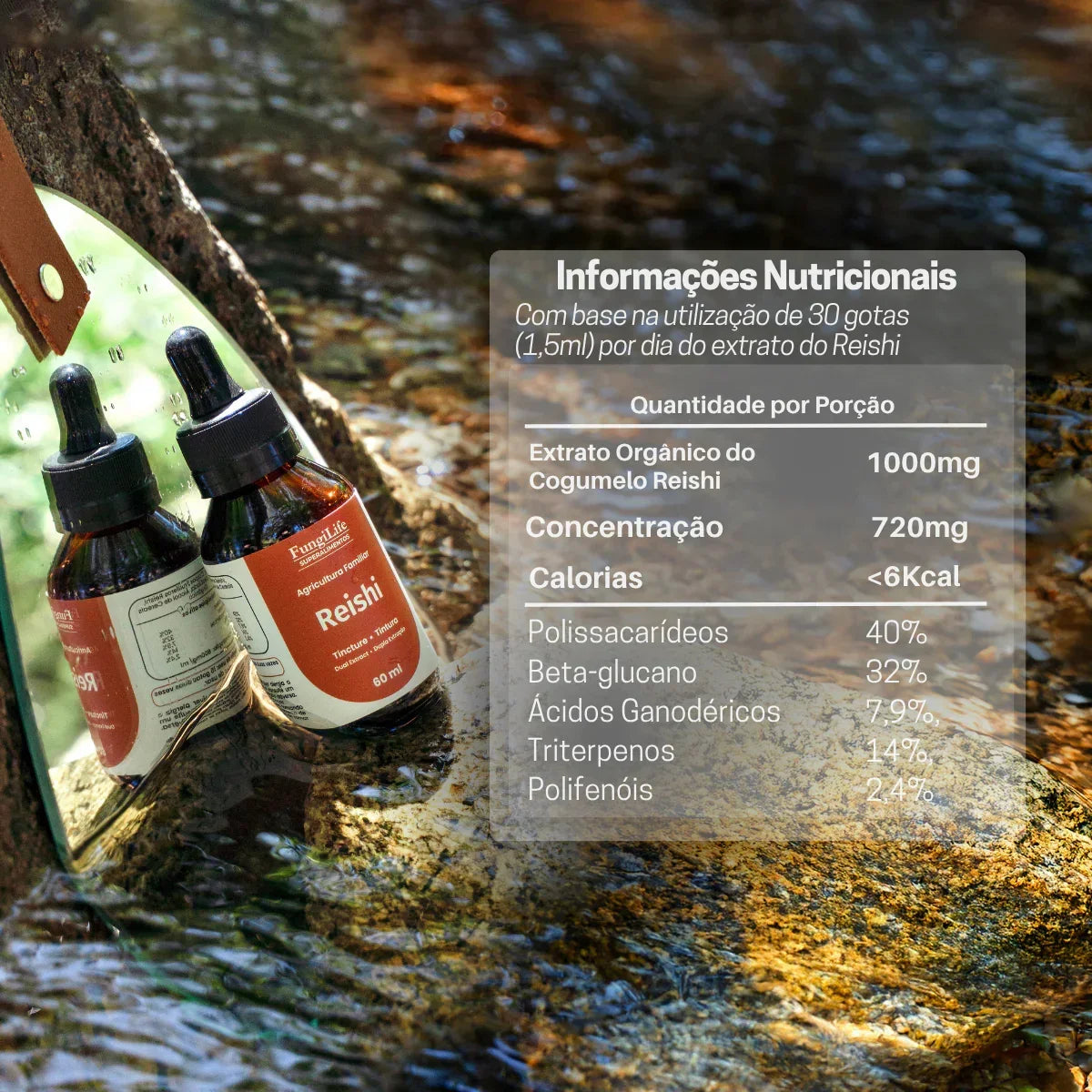 Kit Foco e Equilíbrio Lions Mane + Reishi | Extrato Líquido 60ml