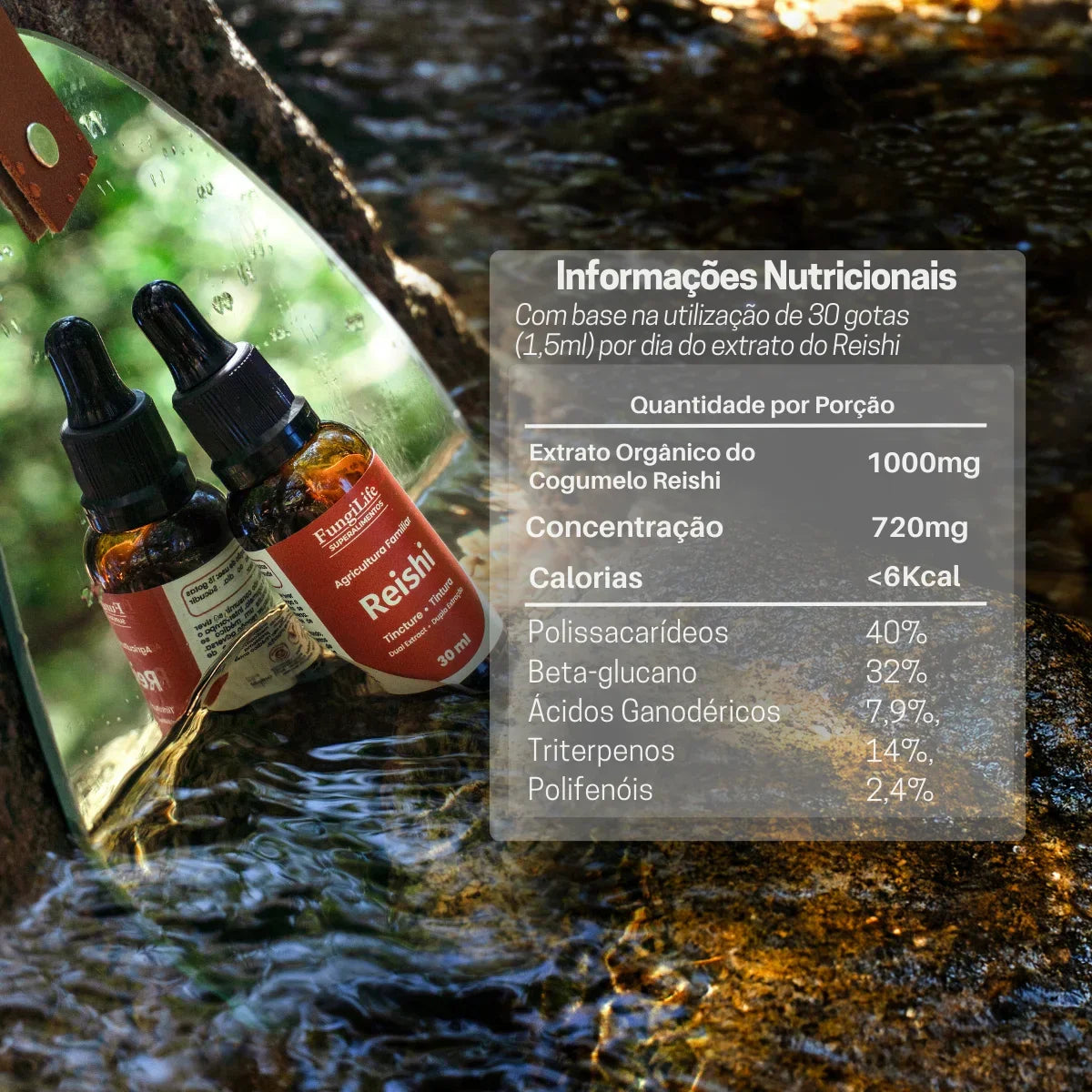 Cogumelo Reishi | Extrato Líquido 30ml