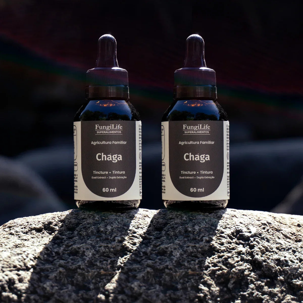 Cogumelo Chaga | Extrato Líquido 60ml